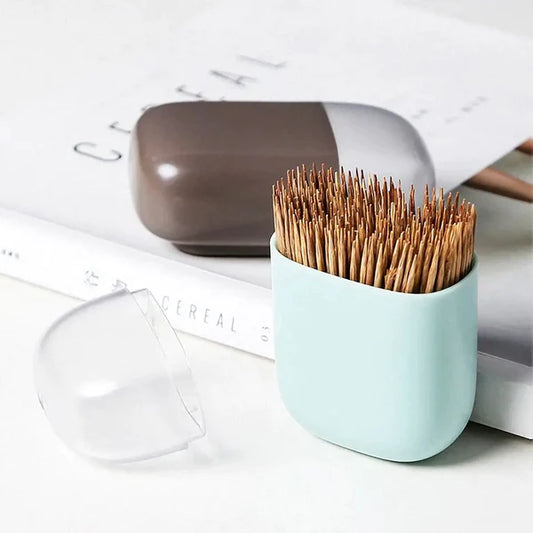 Toothpick holder with magnetic holding option